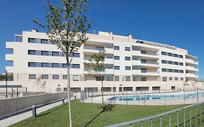 obra nueva davinia